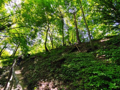 Okładka albumu: Wycieczkowy Tydzień